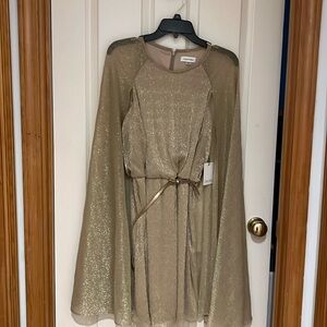 Never worn NWT light gold shimmery dress with back zipper.